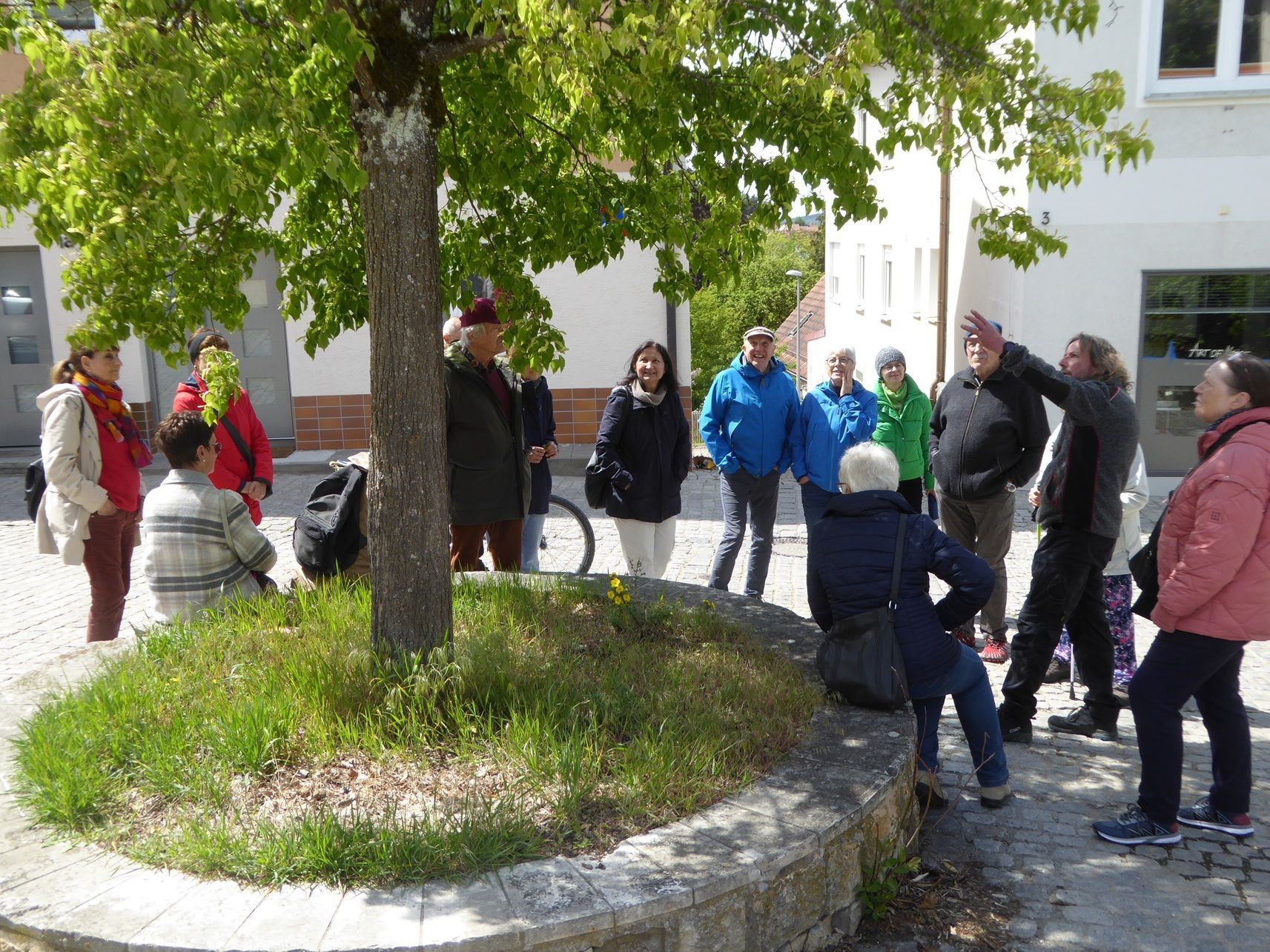 Baumpfleger Christof Linhuber erklärt spannende Fakten zu den Stadtbäumen; Foto: Bernhard Schinner