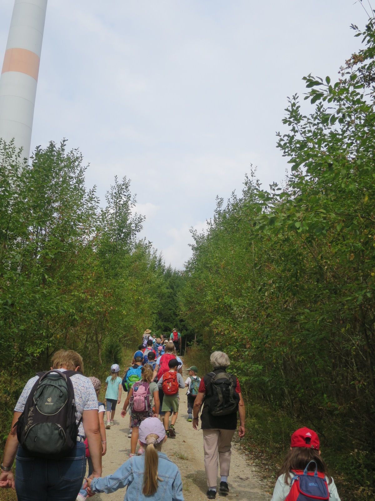 Begeistert wurde durch Wald und Feld gewandert; Foto: Maria Hotter