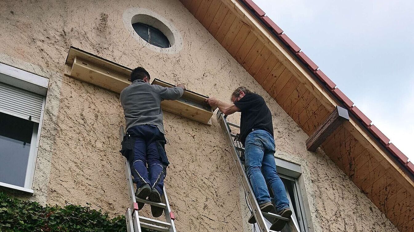 Nistkästen werden an einer geeigneten Stelle montiert.