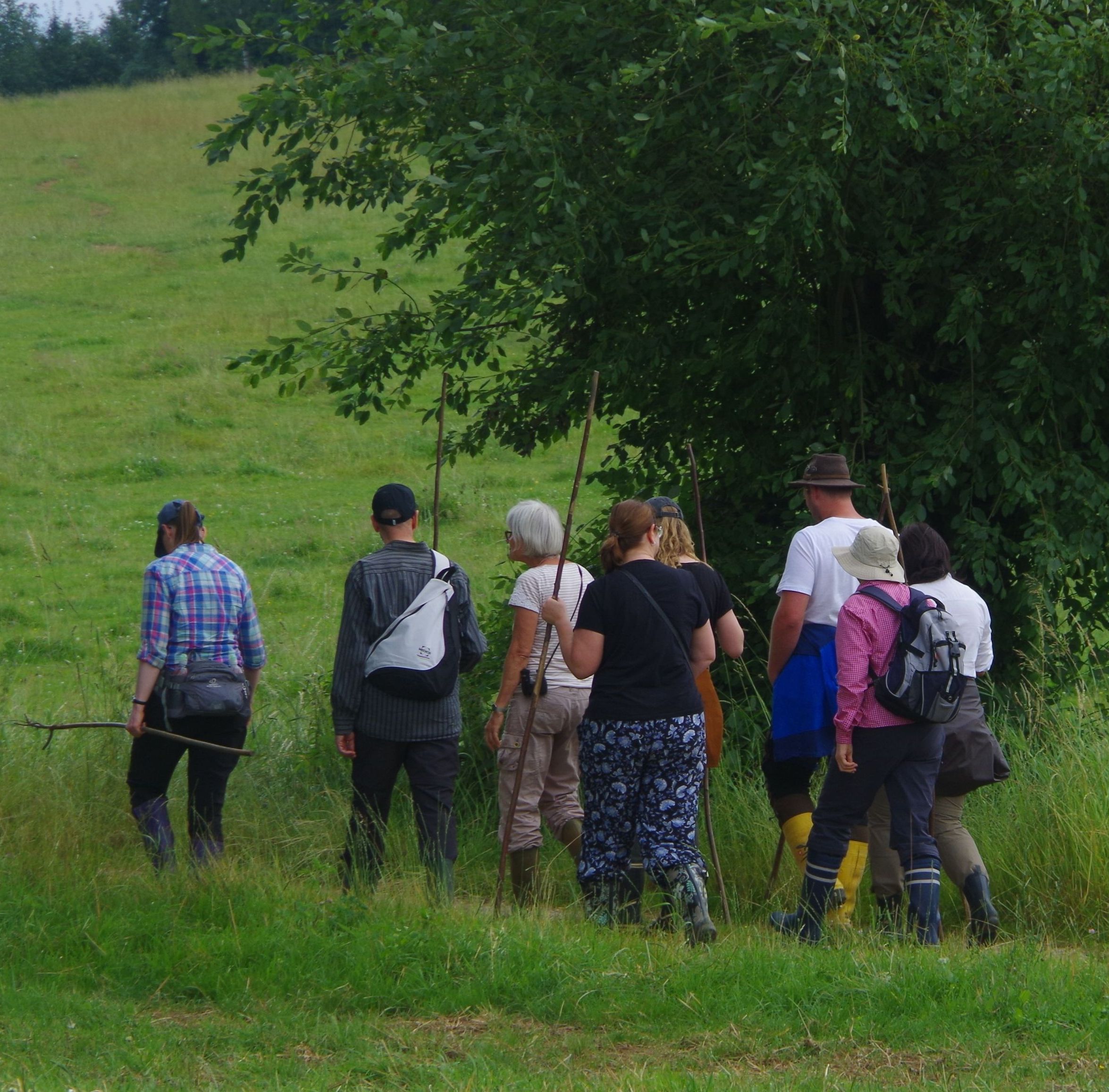Auf dem Weg ins Moor; Foto: BN Neumarkt