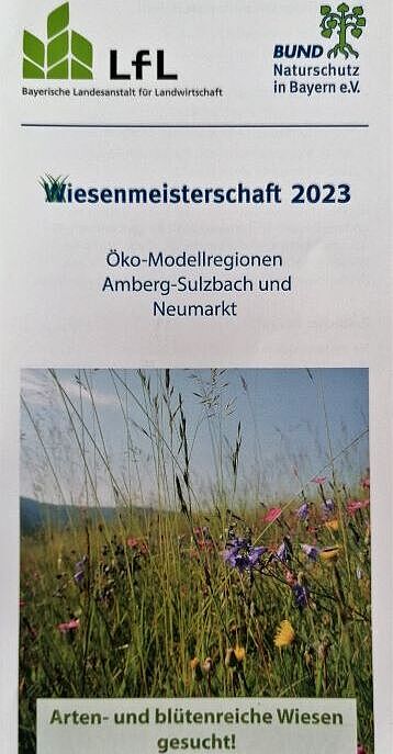 Wiesenmeisterschaft 2023