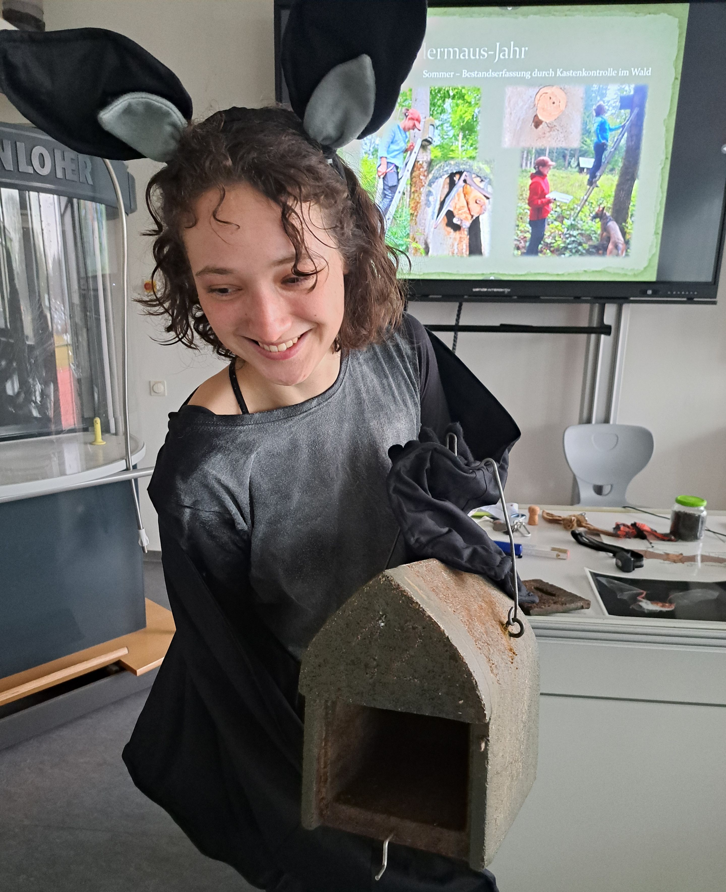 Fledermaus Mathilda gibt eine Roomtour durch den Fledermauskasten; Foto: K. Mayer
