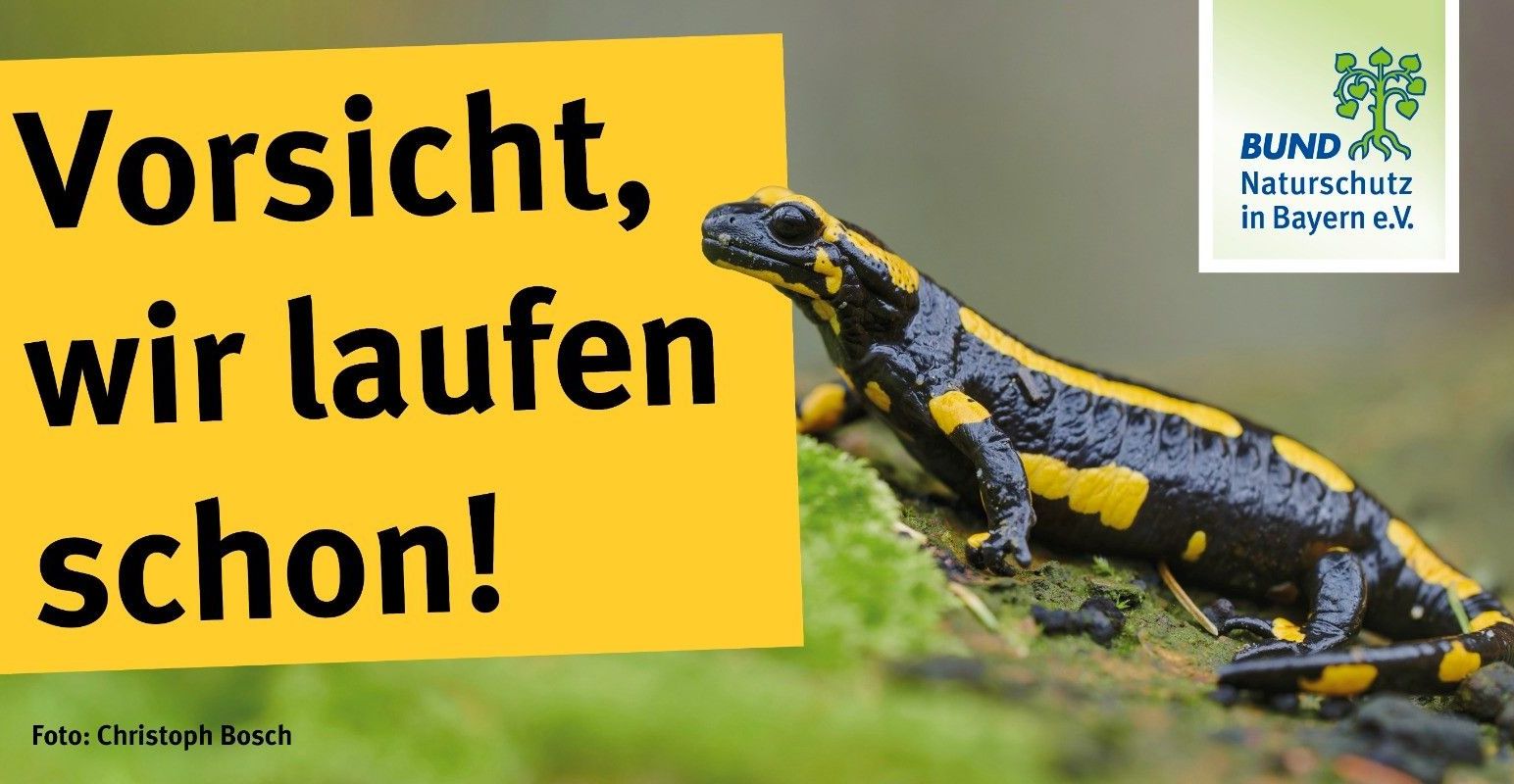 Die Ortsgruppe Dietfurt möchte mit großen Bannern auf die Wanderung der Feuersalamander hinweisen und hofft, dass alle Autofahrer:innen hier besonders vorsichtig fahren.