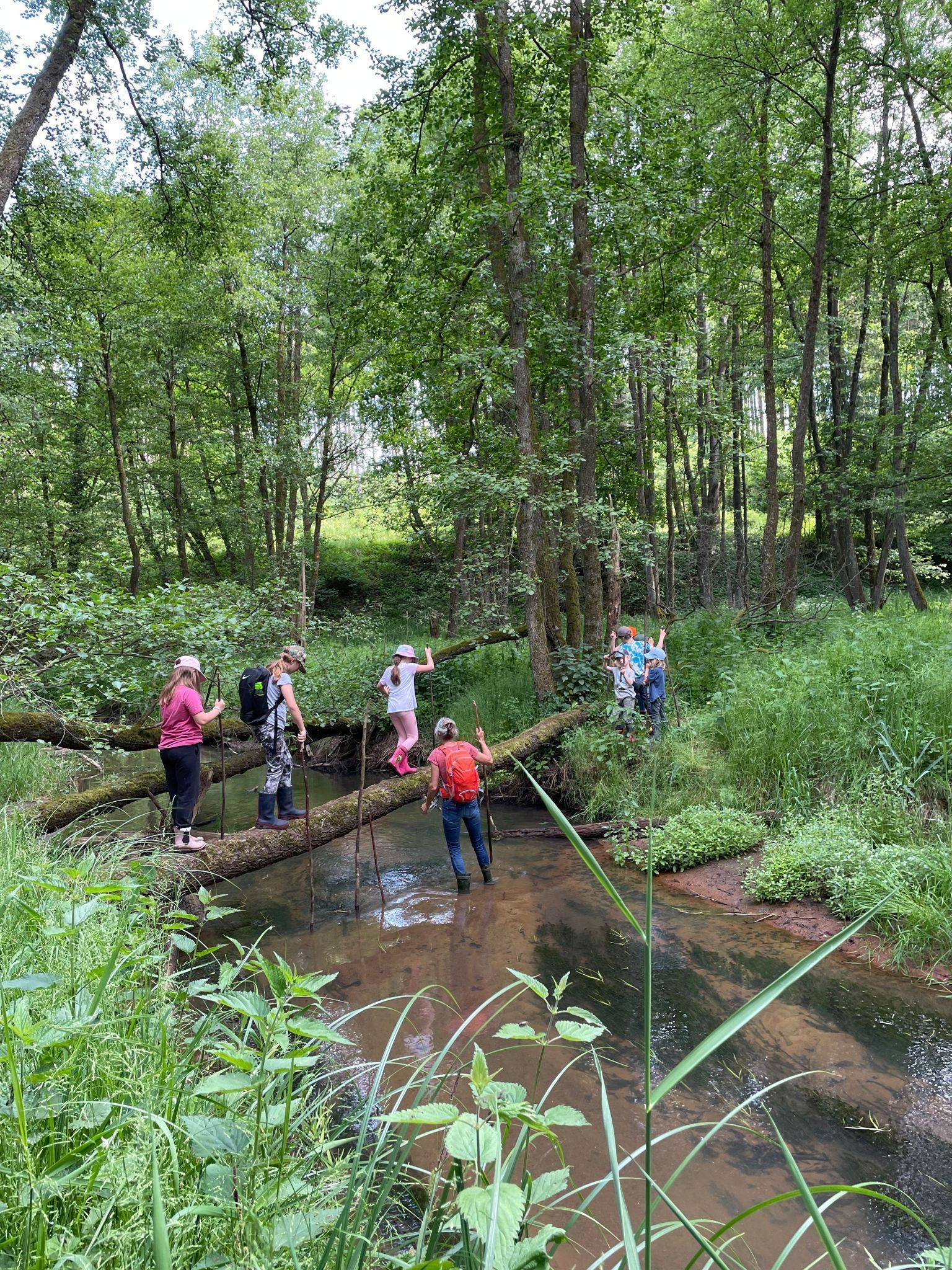 Ab ins Moor! Foto: Lea Hoffmann