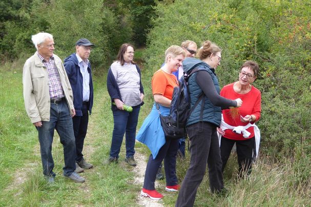 Gemeinsam werden die Früchte bestimmt und genauer betrachtet; Foto: Bernhard Schinner