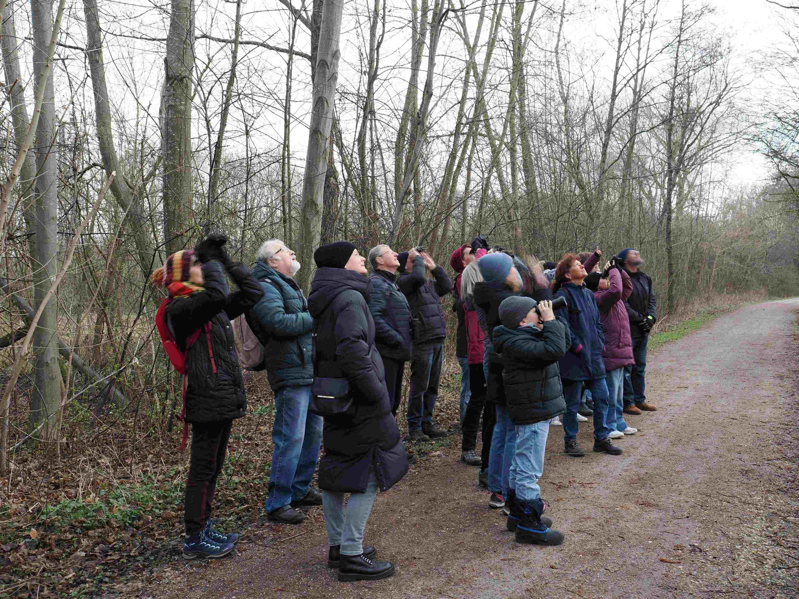 Einige verschiedene Vogelarten entdeckten die Teilnehmenden der Führung; Foto: Daniela Gabler