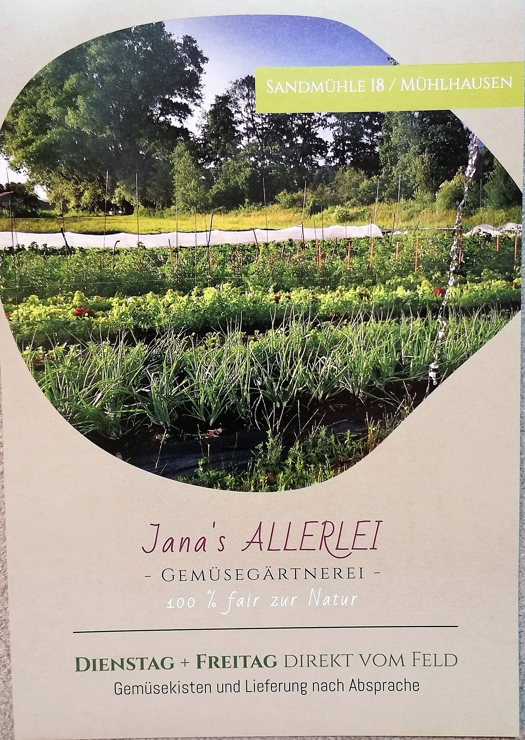 Janas Allerlei