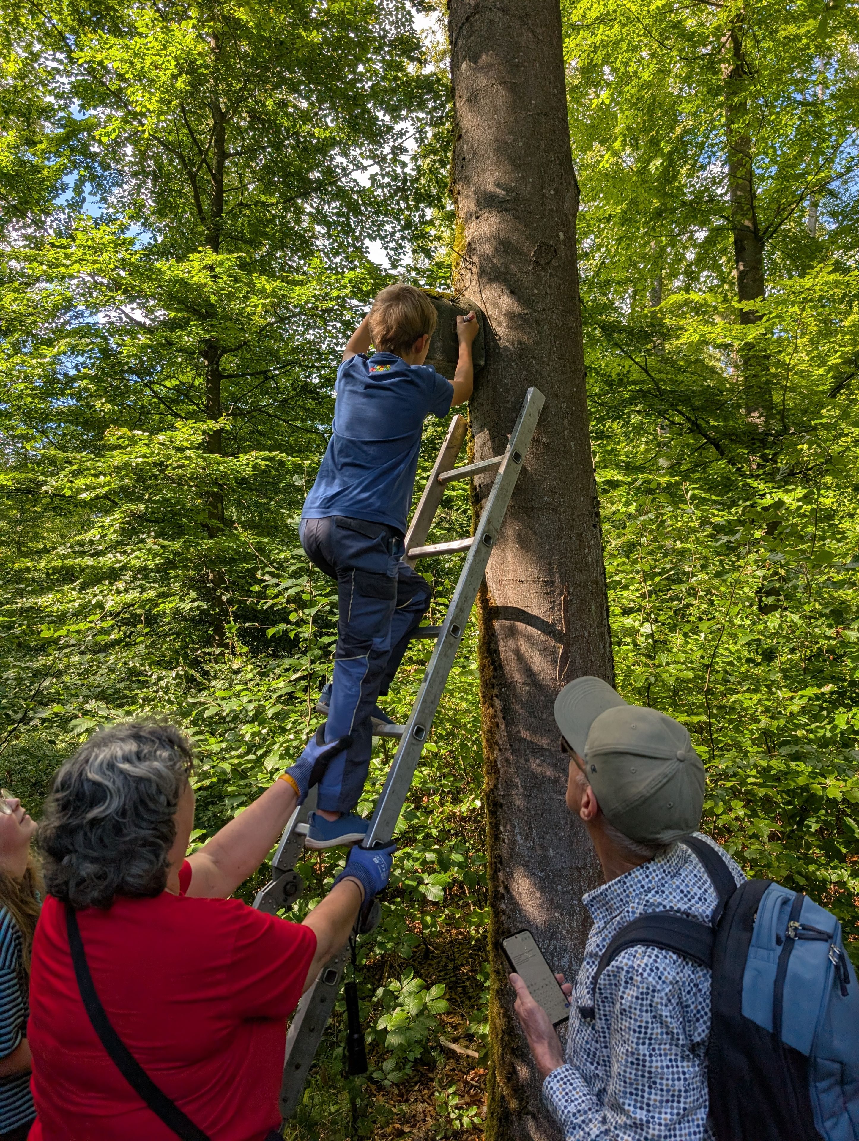 Mit Kreide werden die Kästen nummeriert; Foto: Katrin Mayer