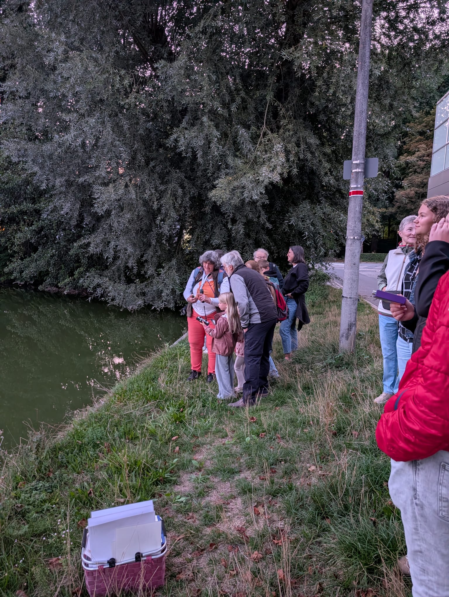 Am Schlossweiher konnten direkt die Abendsegler beim jagen beobachten werden; Foto: Katrin Mayer