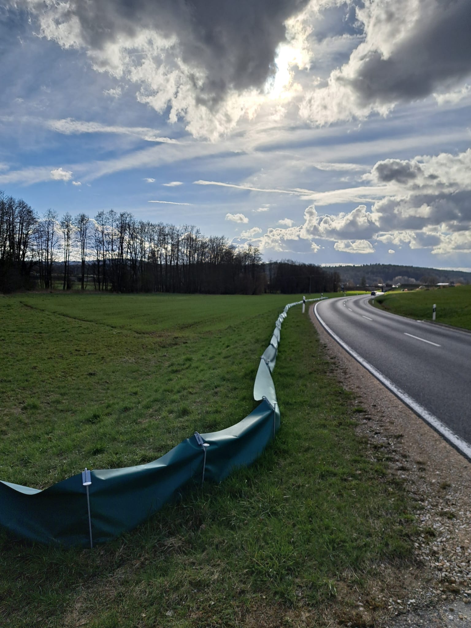 Krötenzaun an der Bocksmühle Richtung Oberölsbach; Foto: Katrin Mayer
