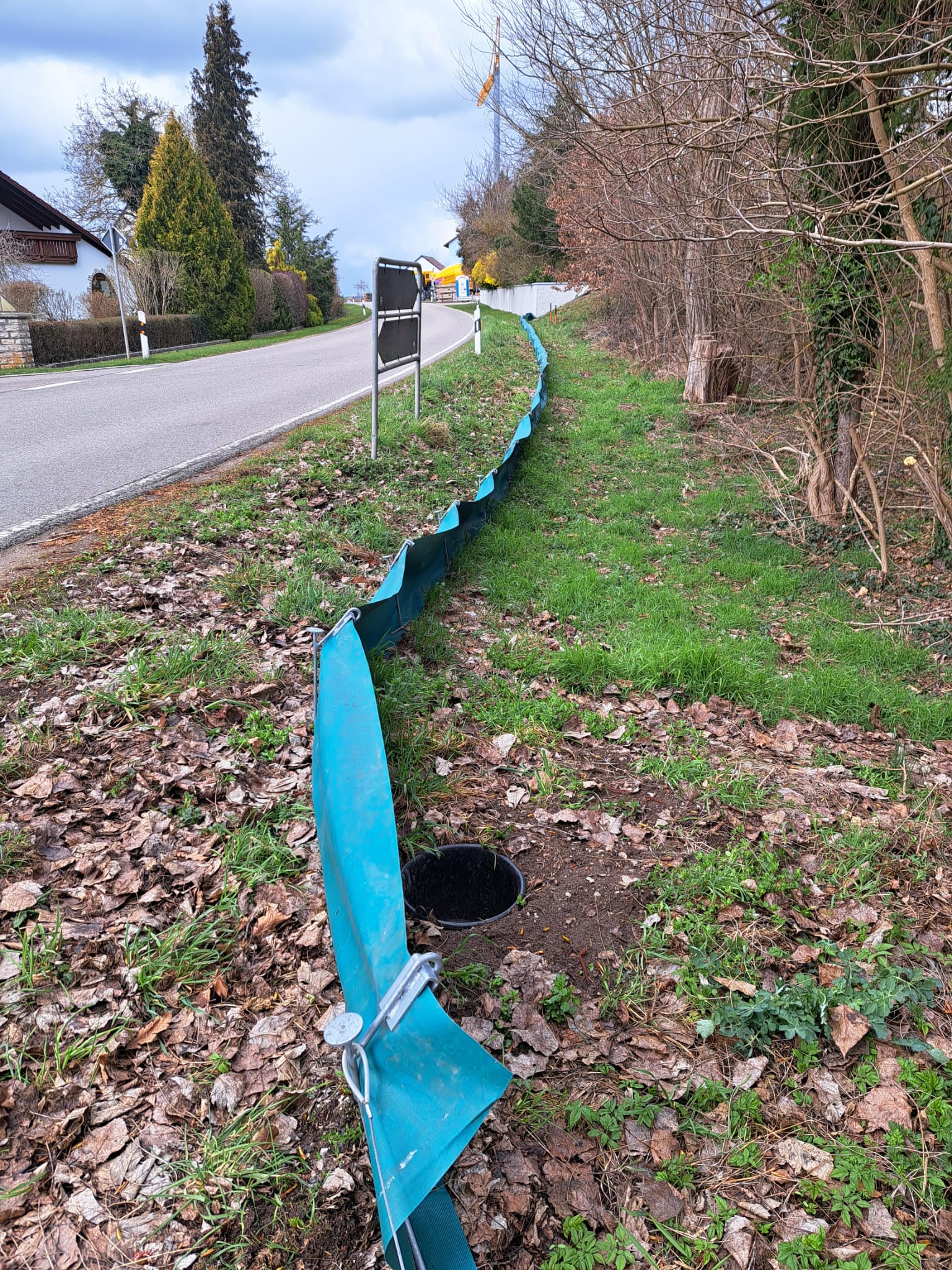 Die Kröten plumpsen in den Eimer und können dann sicher über die Straße gebracht werden; Foto: Katrin Mayer