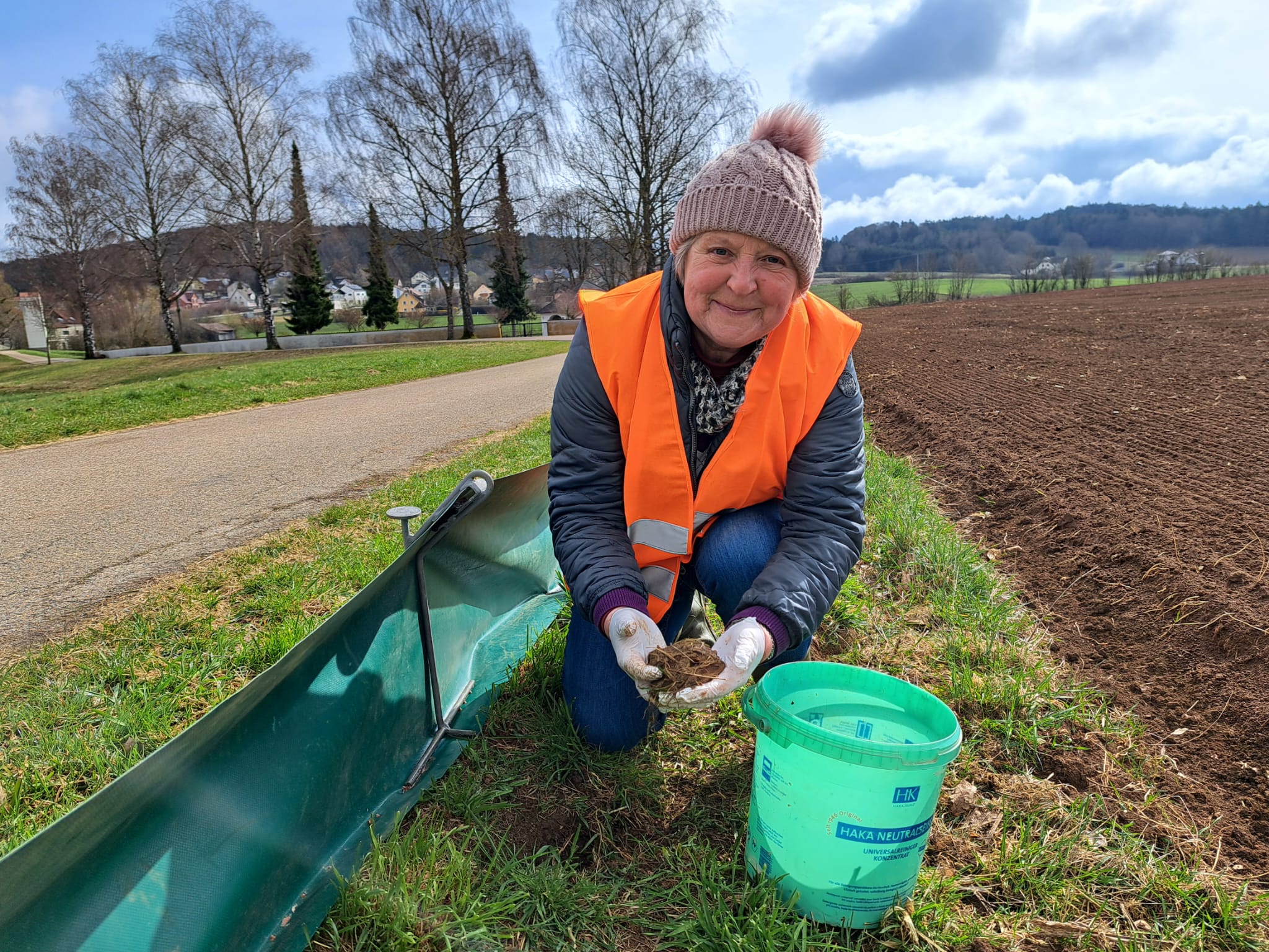 Wenn es nachts zu kalt ist wandern die Kröten auch mal bei Sonnenschein; Foto: Katrin Mayer