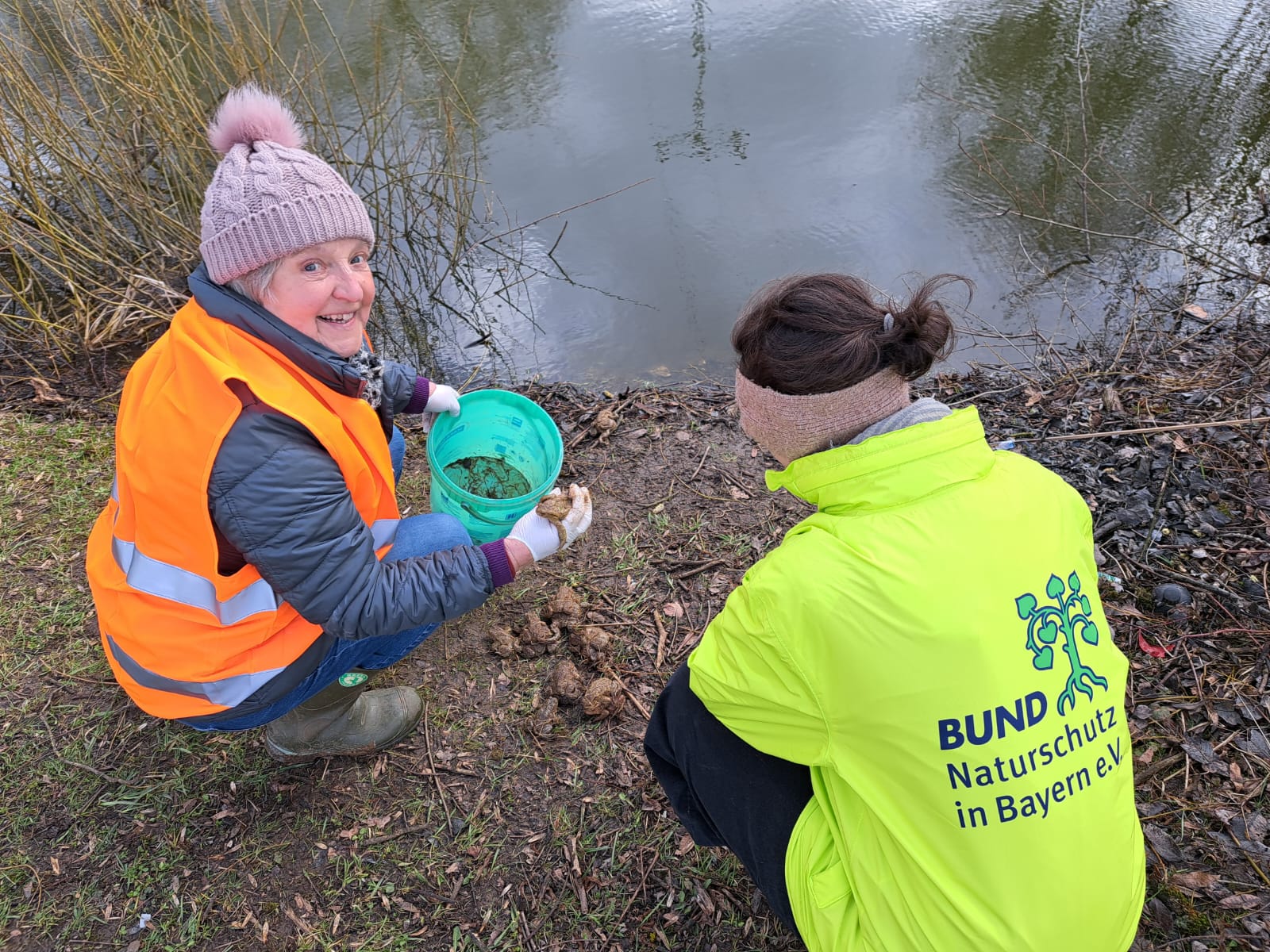 Die am Zaun eigensammelten Kröten werden zum Weiher gebracht und dort abgesetzt; Foto: Katrin Mayer