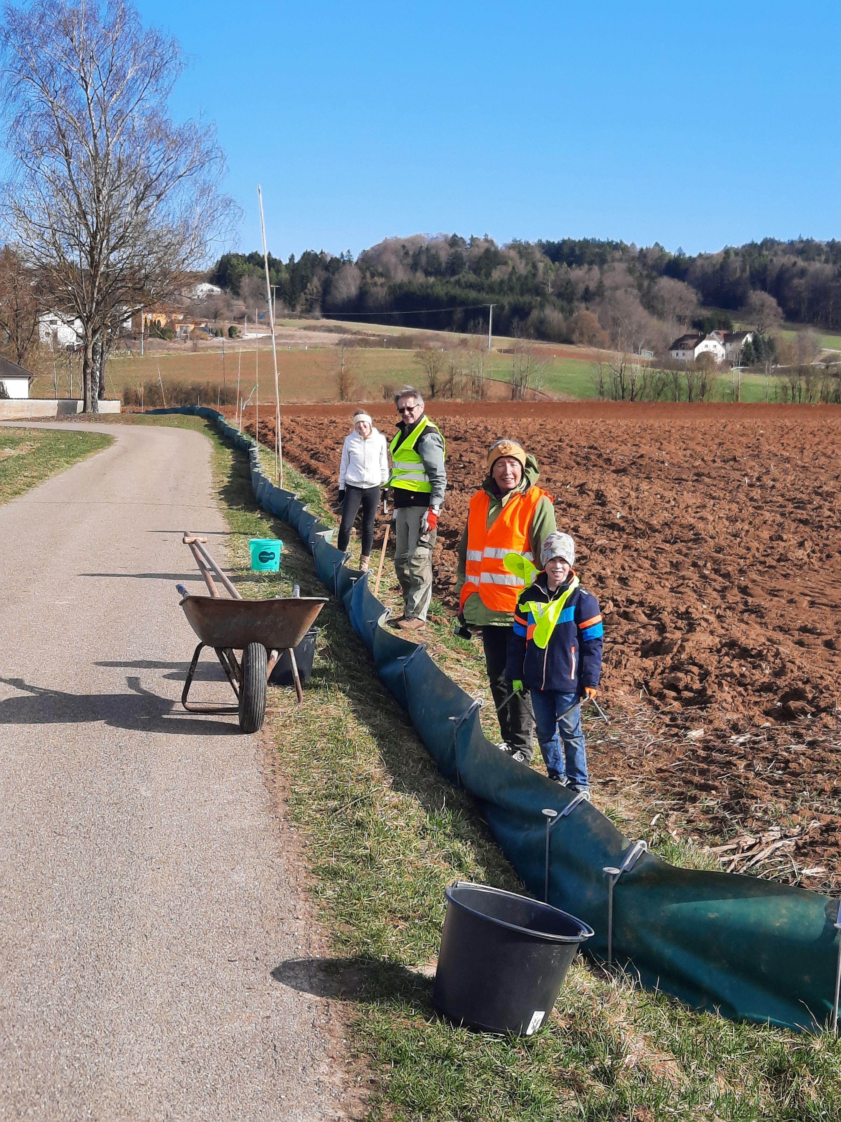 Das Amphibien-Team baut den Krötenzaun auf; Foto: Klara Grönninger
