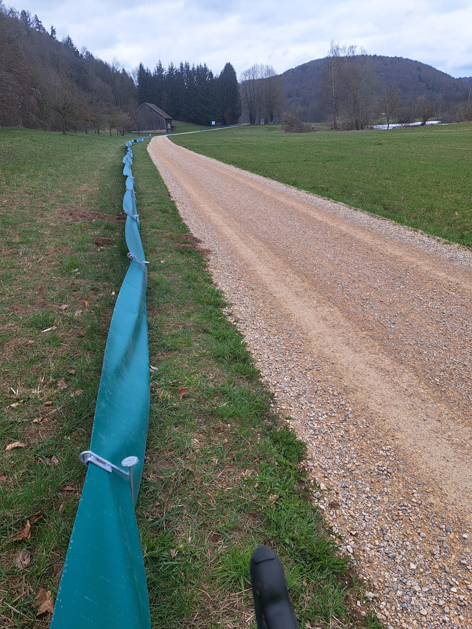 Entlang des Premerzhofer Wegs schlängelt sich der Krötenzaun; Foto: Katrin Mayer
